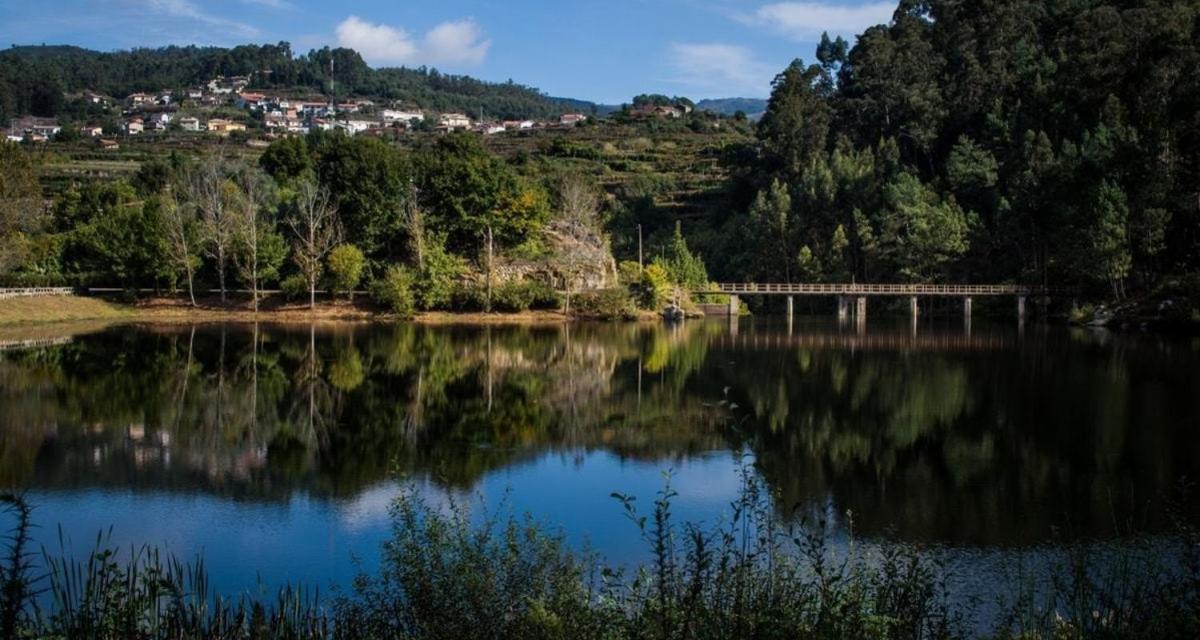 Trebid'Ouro Villa Vale de Cambra Dış mekan fotoğraf